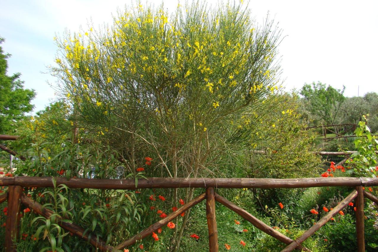 הוילה סן ג'ימיניאנו Casa Natura מראה חיצוני תמונה